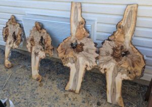 Spectacular Figured Burl Slab