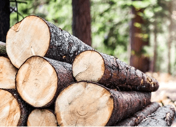 Log Dropoff Icon